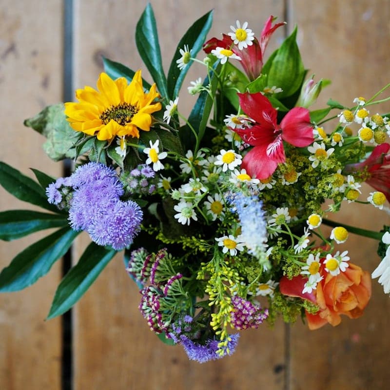 Bouquet Silvestre Biodiverso