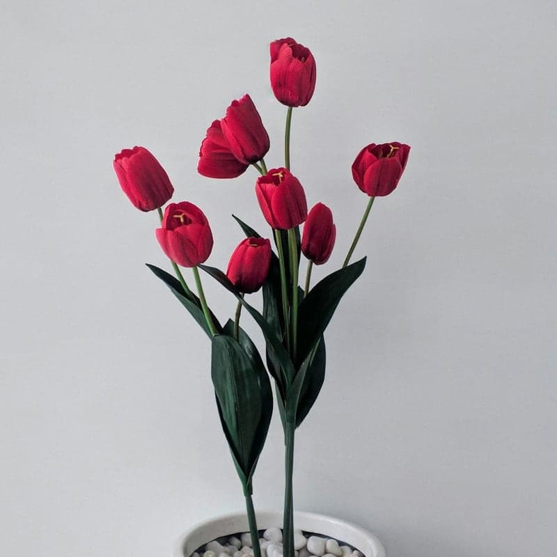 Trío de Tulipanes Vivos en Maceta